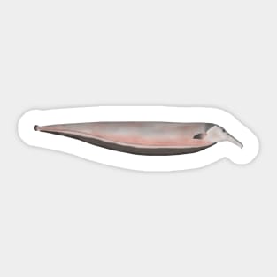 Oxyrhynchus Tube-snouted Ghost Knifefish Sticker